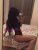 Beylikdüzü Güzel escort Burçe - Image 6